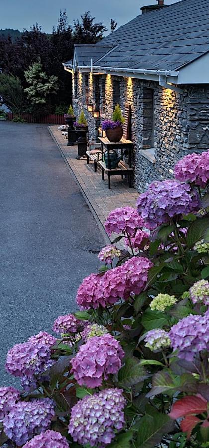 Kenmare Driftwood Bed & Breakfast 外观 照片