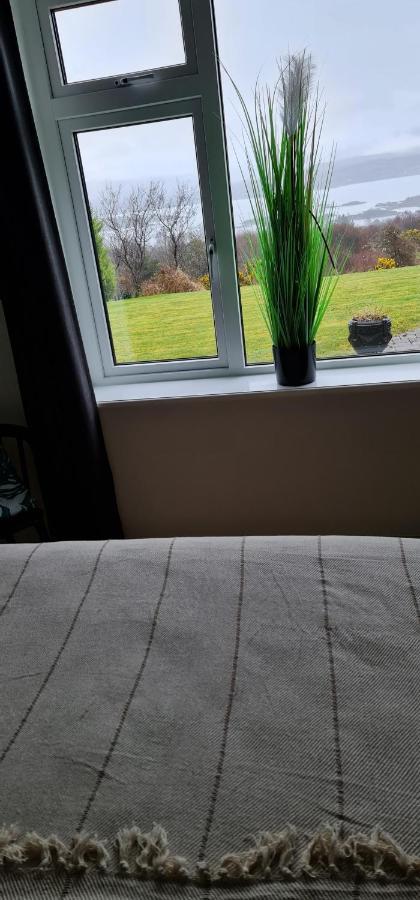 Kenmare Driftwood Bed & Breakfast 外观 照片